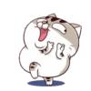 LINDO GATITO mov. 13