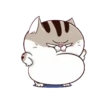LINDO GATITO mov. 14