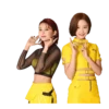 Koreanas 14