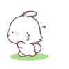 Quaninc bunny🐰 15