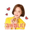 Koreanas 16