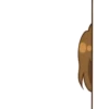 chibi 17