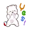 Q White BearMov 20