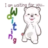Q White BearMov 21