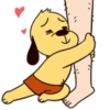 Bun dog and rabbit  MOV 18