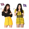 Koreanas 23