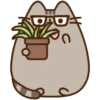 Pusheen no tienes llenadera MOV 28