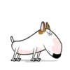 PERRITOS mov 25