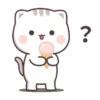 KITTEN 29