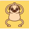Perritos Pug    mov   2 5