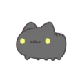 Bug Cat Black 5