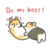 Corgi in the gym MOVbyYessy 5