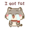 Um gatinho feliz 6