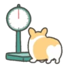 Corgi in the gym MOVbyYessy 7