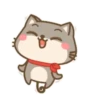 Um gatinho feliz 10