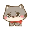 Um gatinho feliz 11