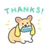 Corgi in the gym MOVbyYessy 9