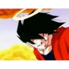 Goku MOV 13