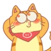 Gatitos mov 14