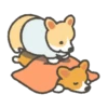 Corgi in the gym MOVbyYessy 13