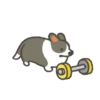 Corgi in the gym MOVbyYessy 14