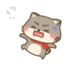 Um gatinho feliz 13