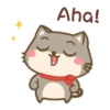Um gatinho feliz 16