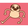 Perritos Pug    mov   2 19