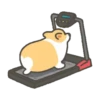Corgi in the gym MOVbyYessy 16