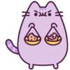Gato pusheen 21
