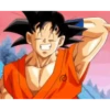 Goku MOV 22