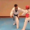 Pelea... pelea 24
