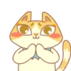 Gatitos mov 21