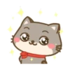 Um gatinho feliz 19