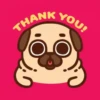Perritos Pug    mov   2 26