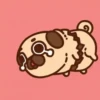 Perritos Pug    mov   2 27