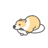 Corgi in the gym MOVbyYessy 20