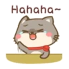 Um gatinho feliz 20