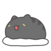 Bug Cat Black 16