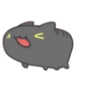 Bug Cat Black 17