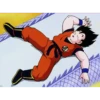 Goku MOV 24
