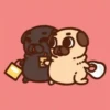 Perritos Pug    mov   2 29