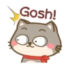 Um gatinho feliz 24