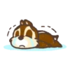 🐿Chip & Dale🐿 Mov 5