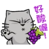 Meow in chinese 2 10