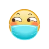 Emoji Barbijo 17