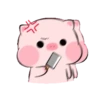 PINK 8