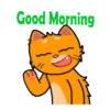 😻 Ginger cat 😺 Mov 23