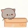Mochi Peach Cat 2 6