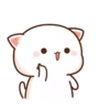 Mochi Peach Cat 4 8